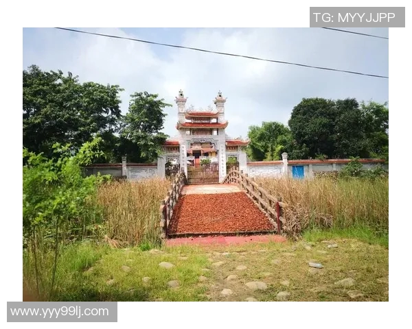 飞盘追梦：张丽的竞技人生与心灵探索之旅